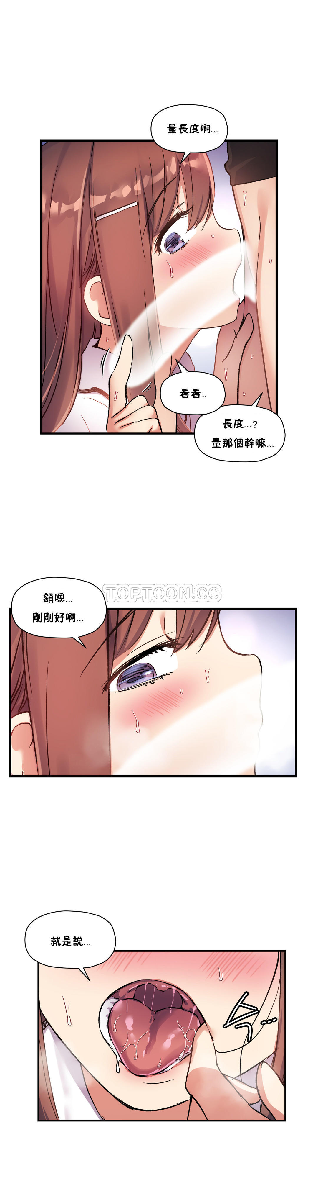 初恋豚鼠