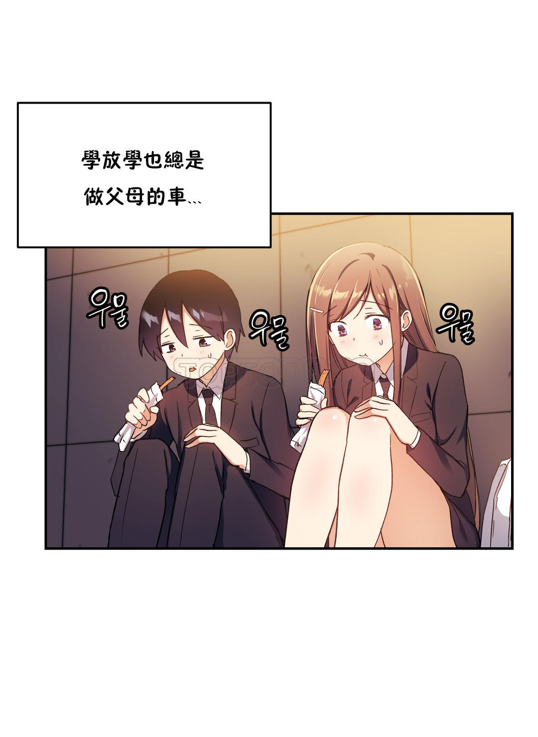 初恋豚鼠