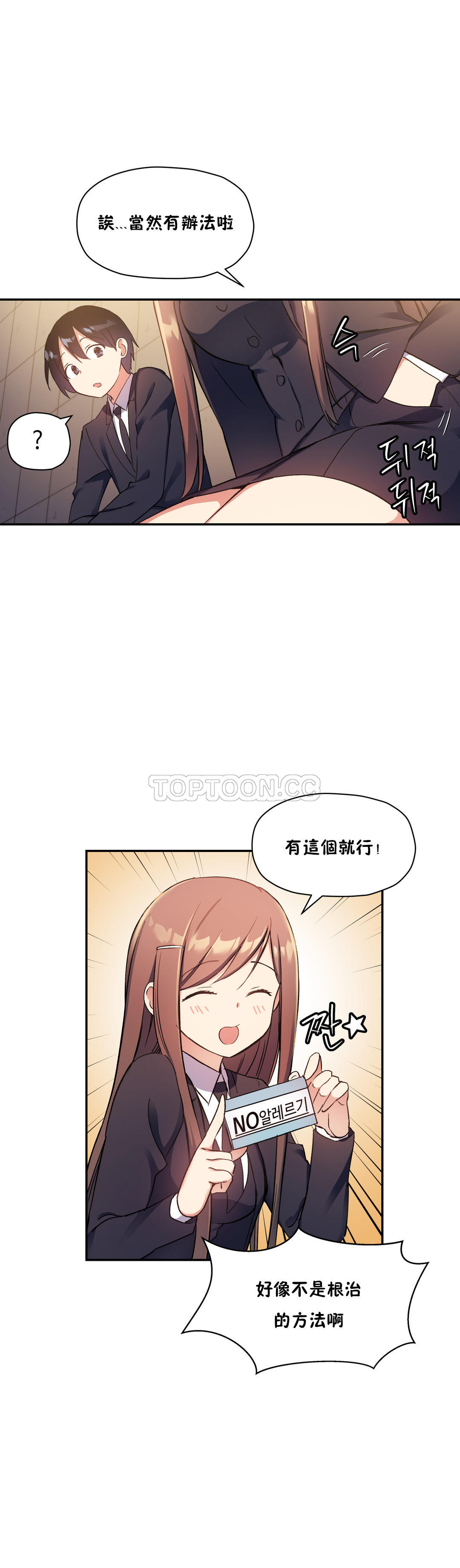 初恋豚鼠