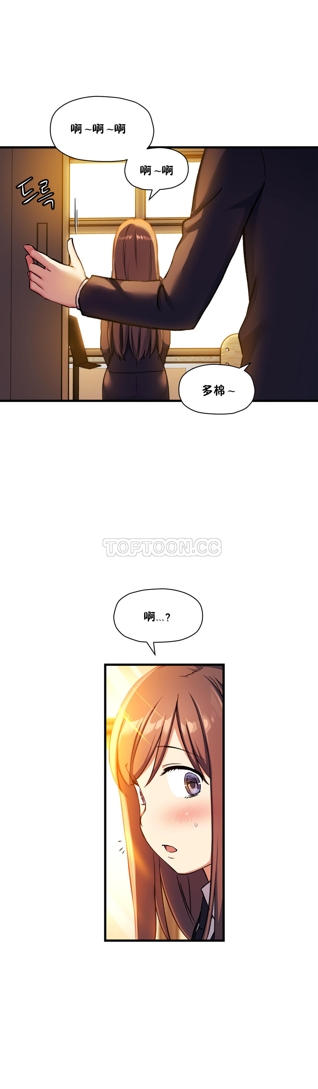 初恋豚鼠