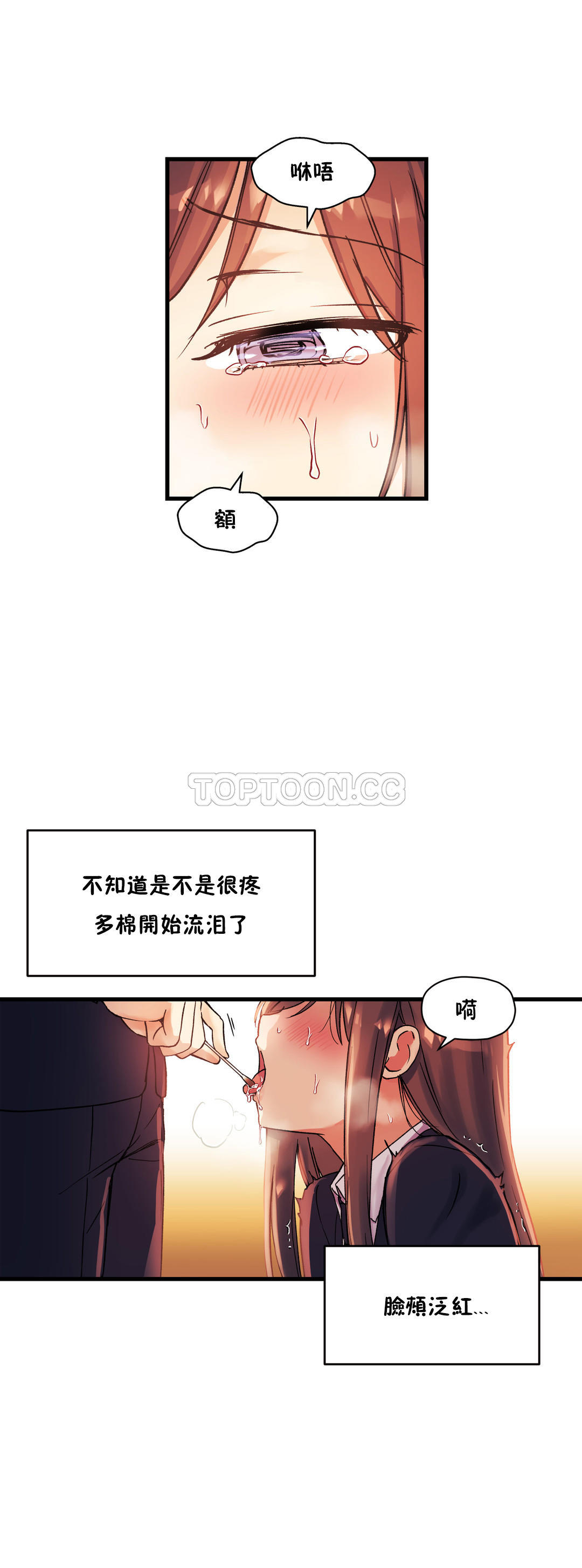初恋豚鼠
