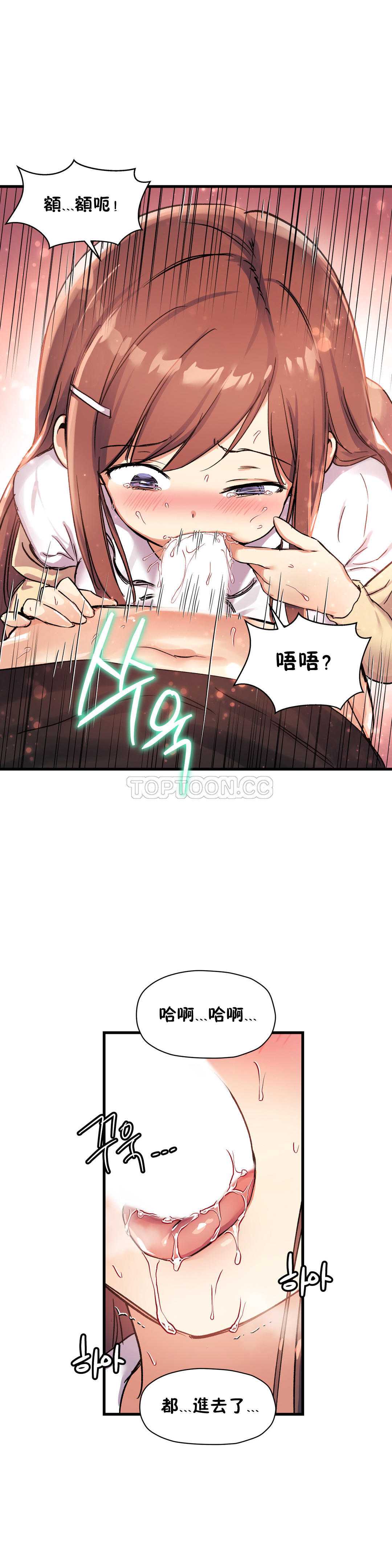 初恋豚鼠