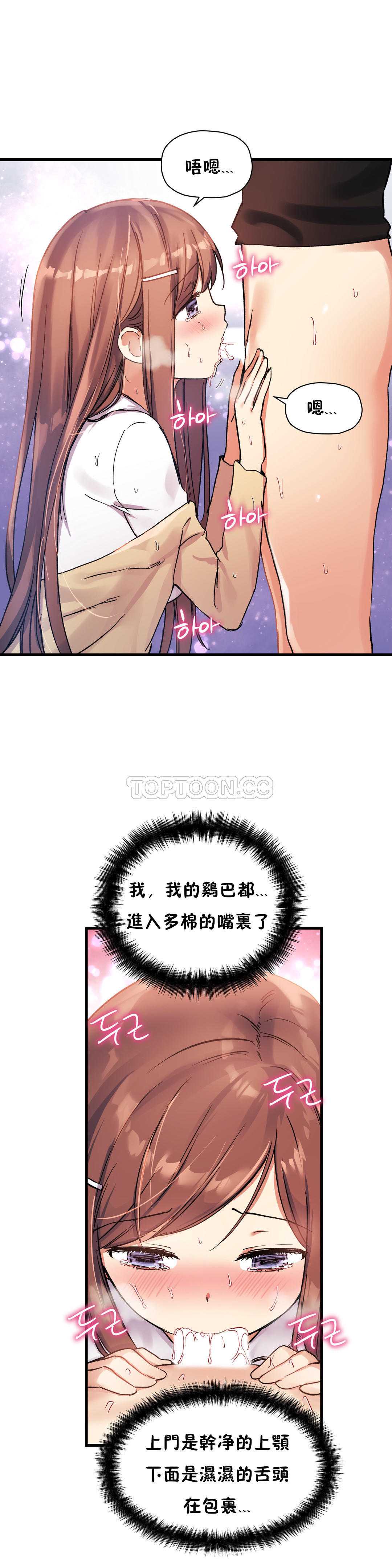 初恋豚鼠