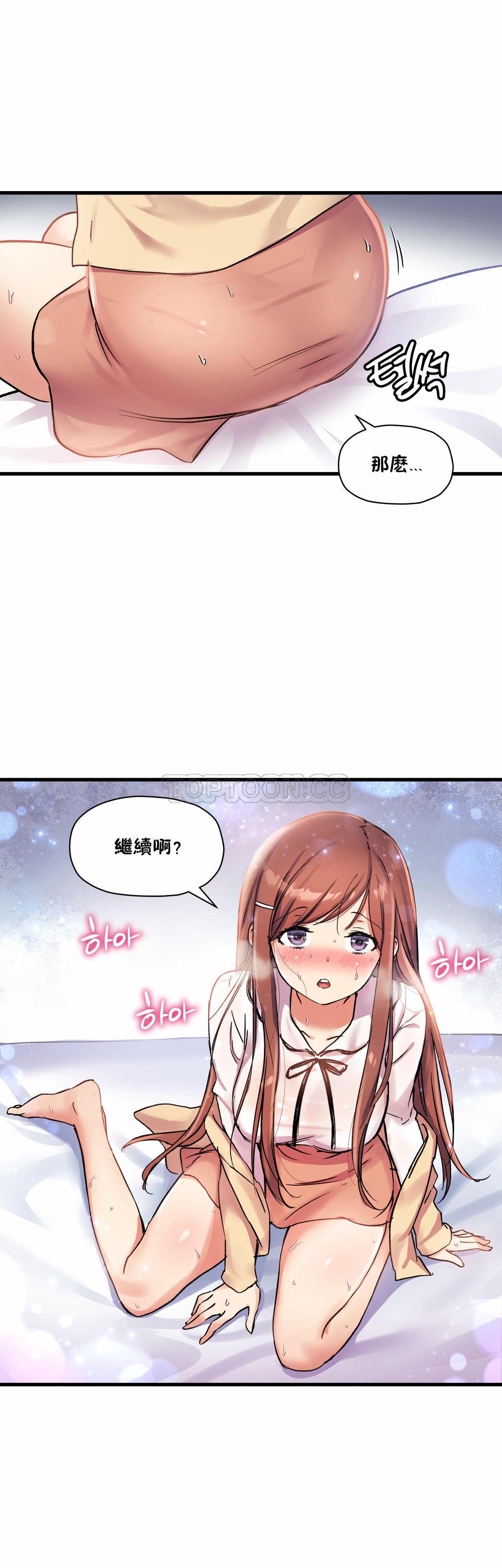 初恋豚鼠