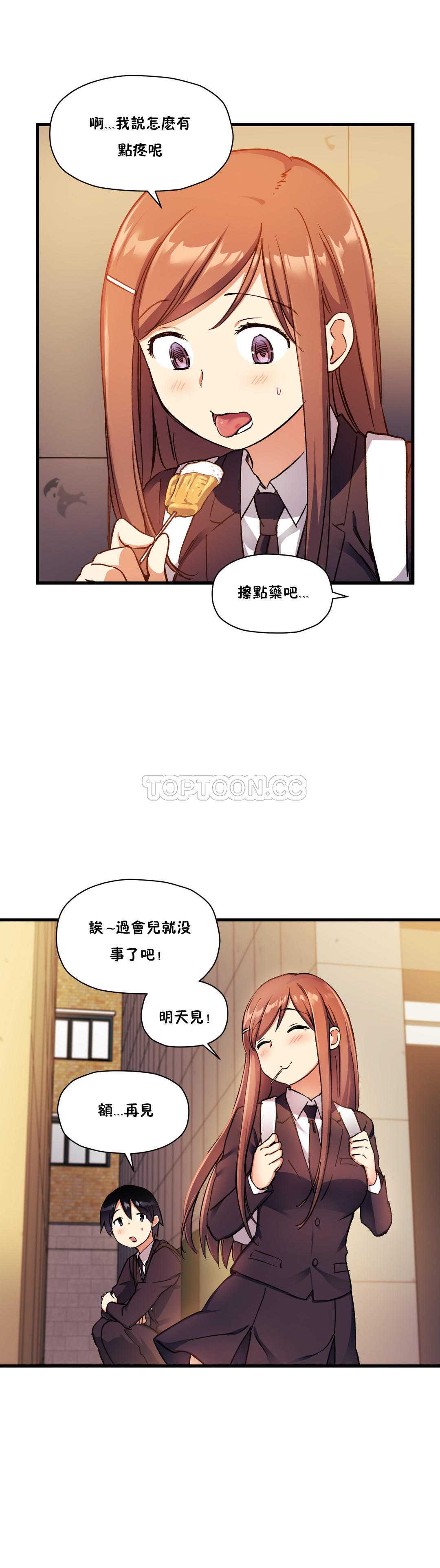 初恋豚鼠