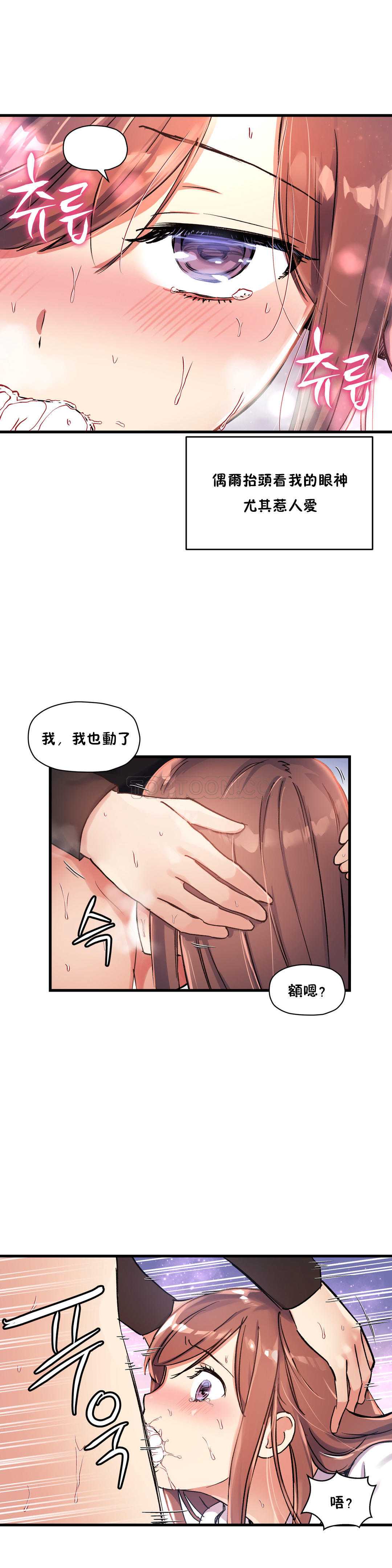 初恋豚鼠