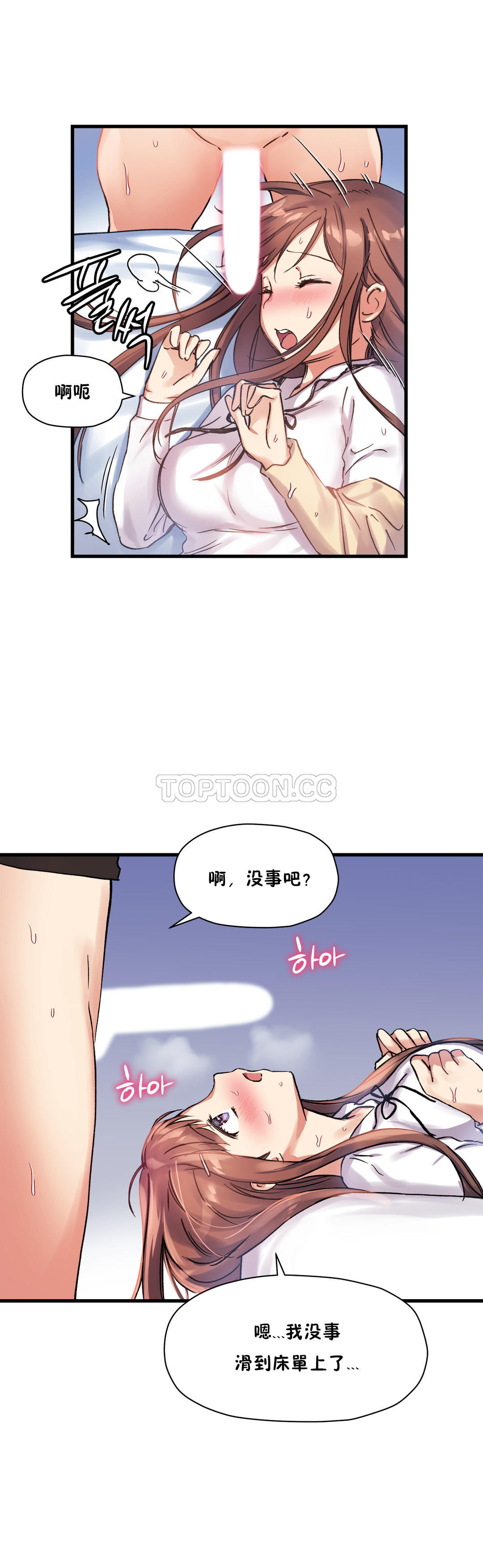 初恋豚鼠