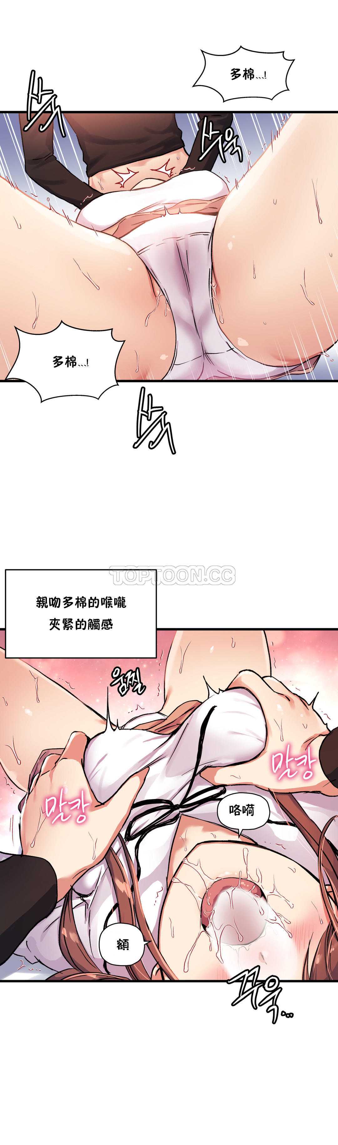 初恋豚鼠