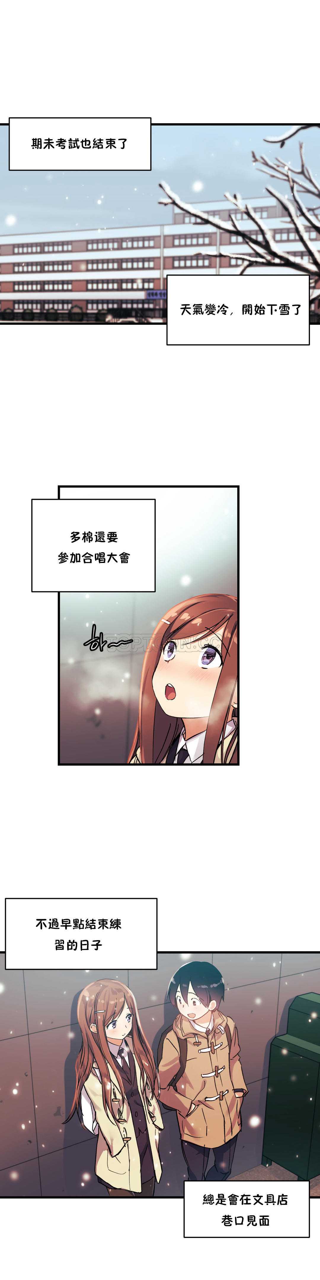 初恋豚鼠