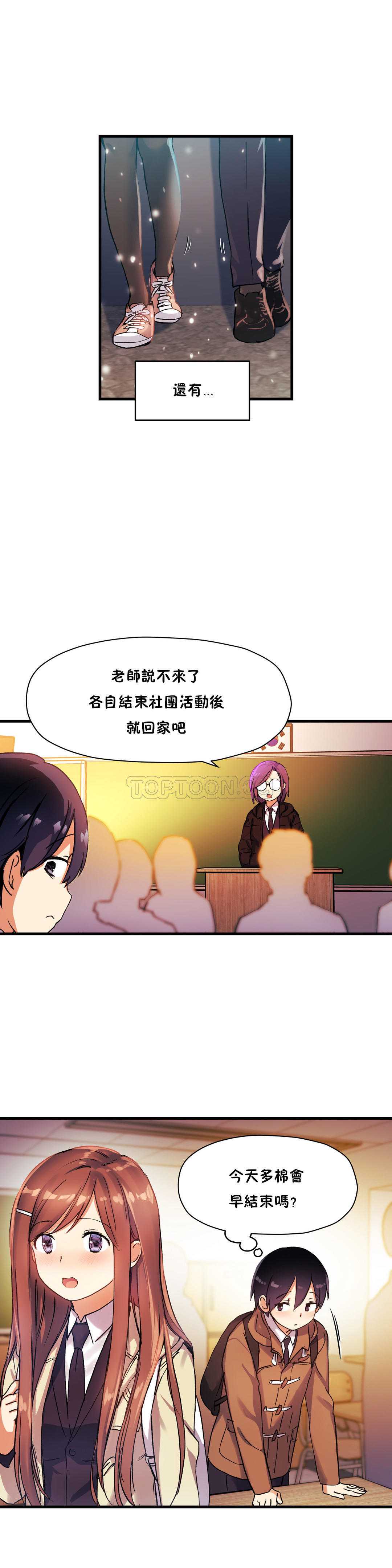 初恋豚鼠