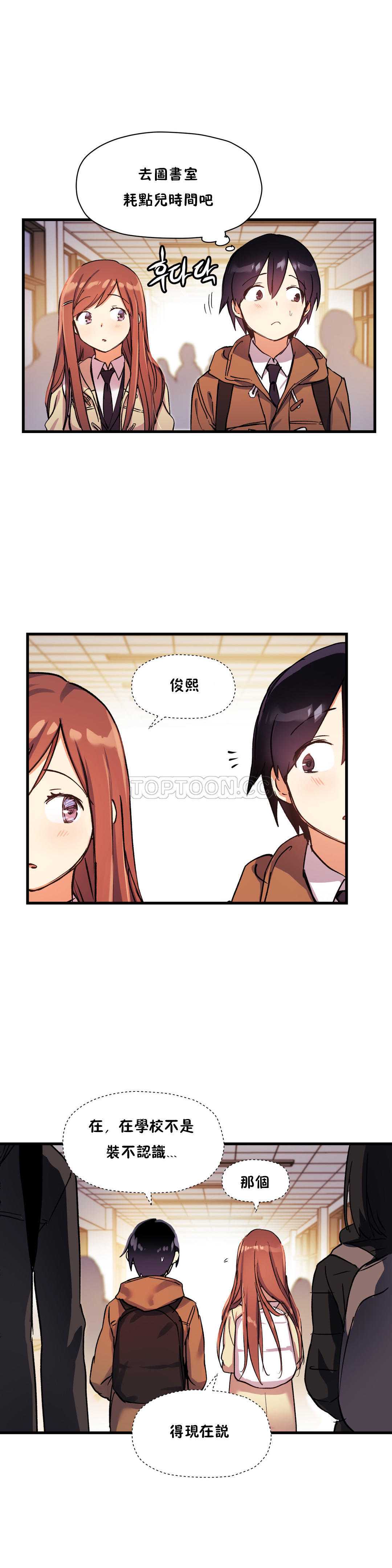 初恋豚鼠