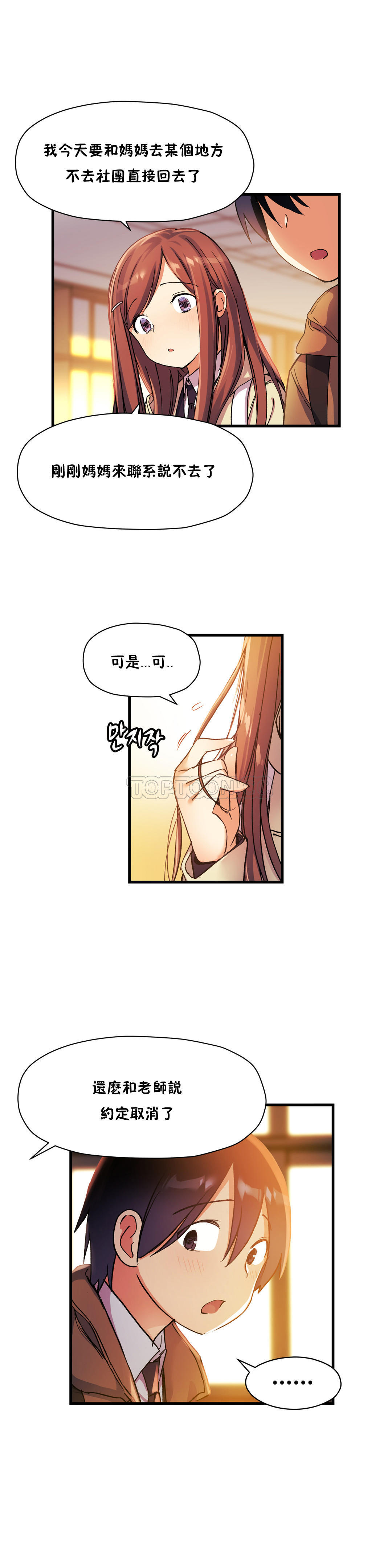 初恋豚鼠