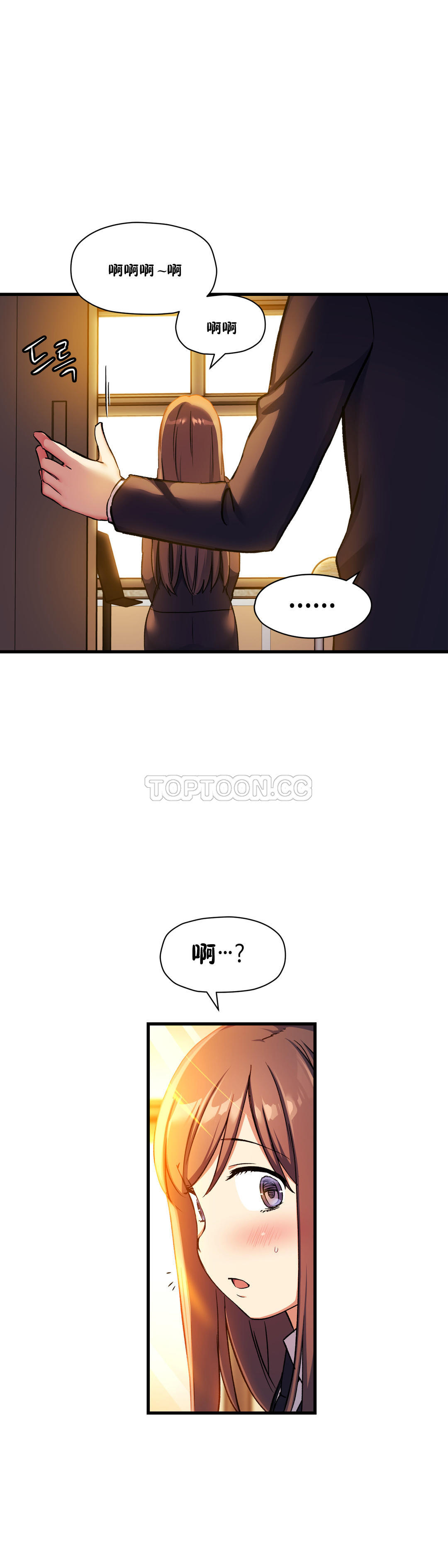 初恋豚鼠