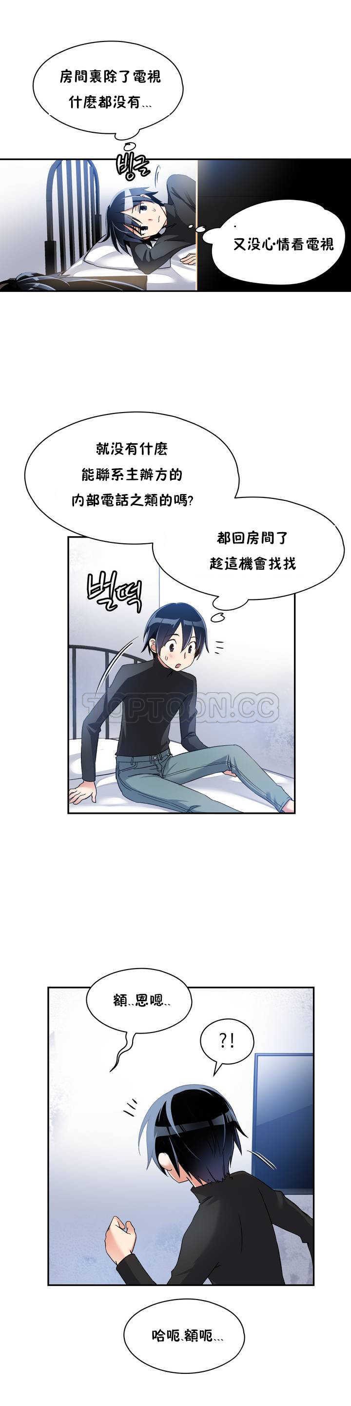初恋豚鼠