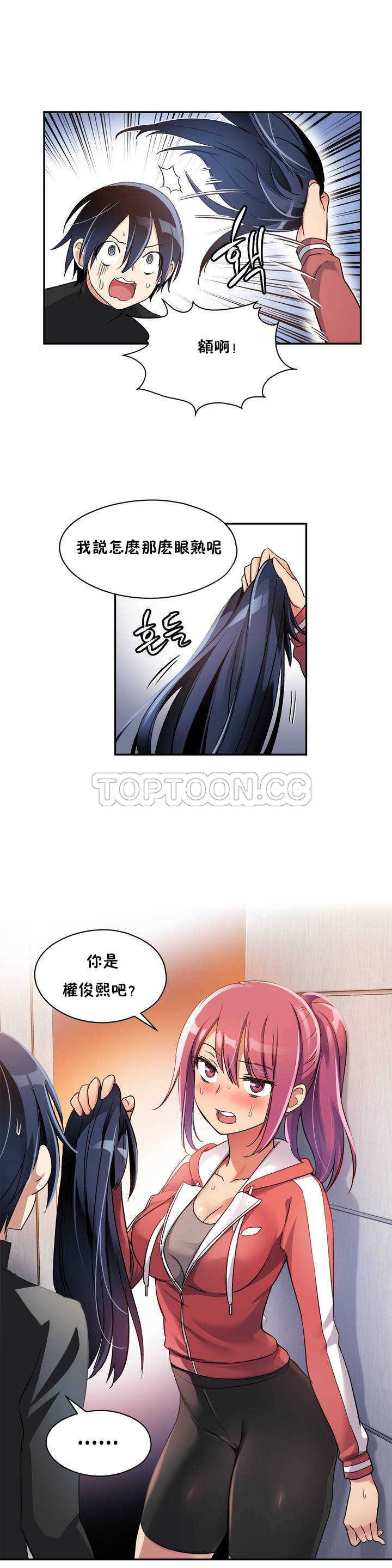 初恋豚鼠
