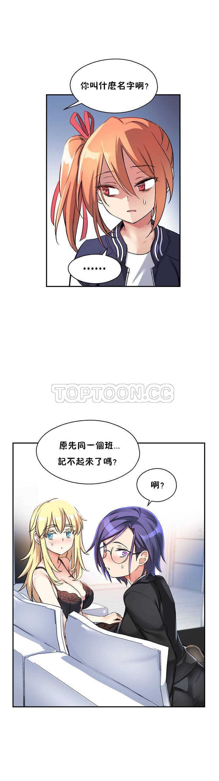 初恋豚鼠