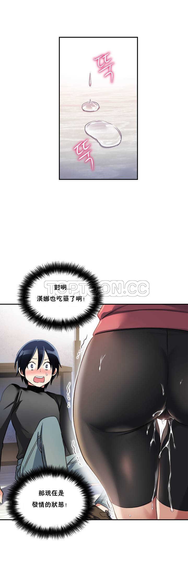 初恋豚鼠
