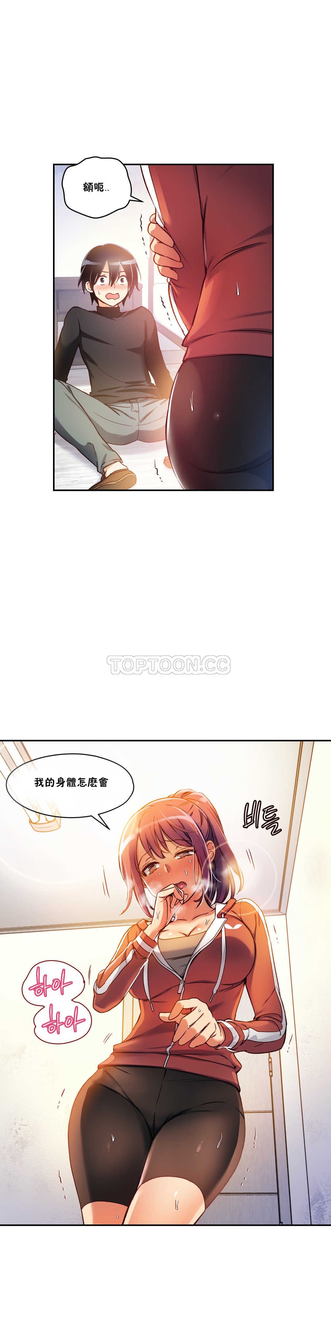 初恋豚鼠