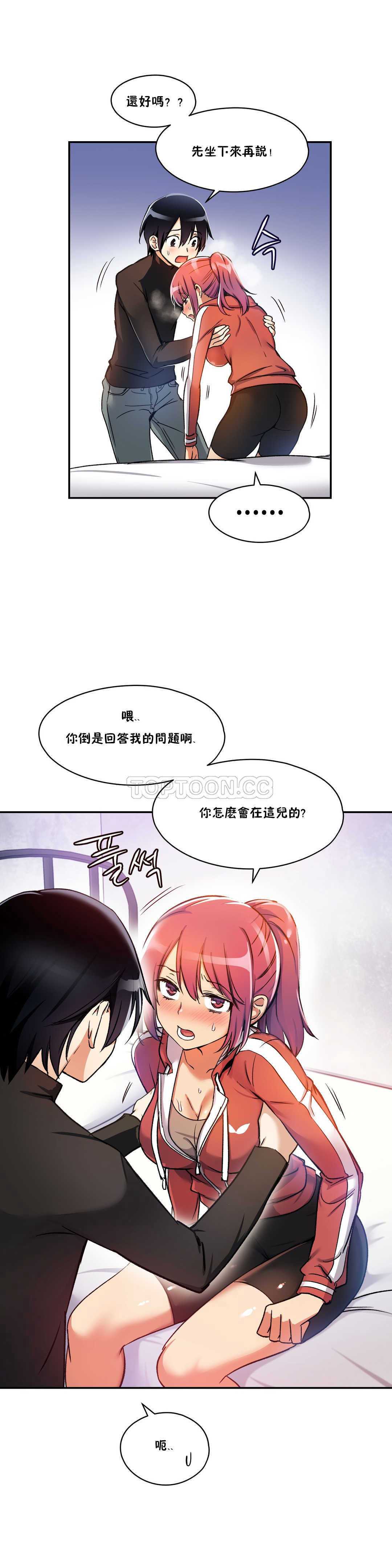 初恋豚鼠
