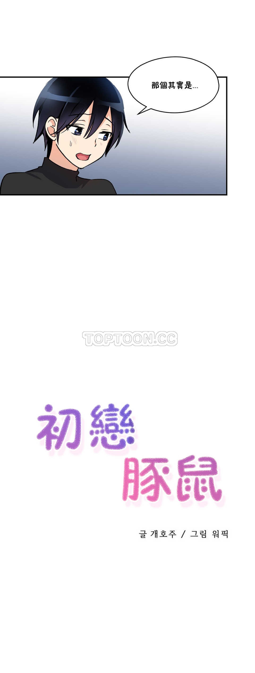 初恋豚鼠