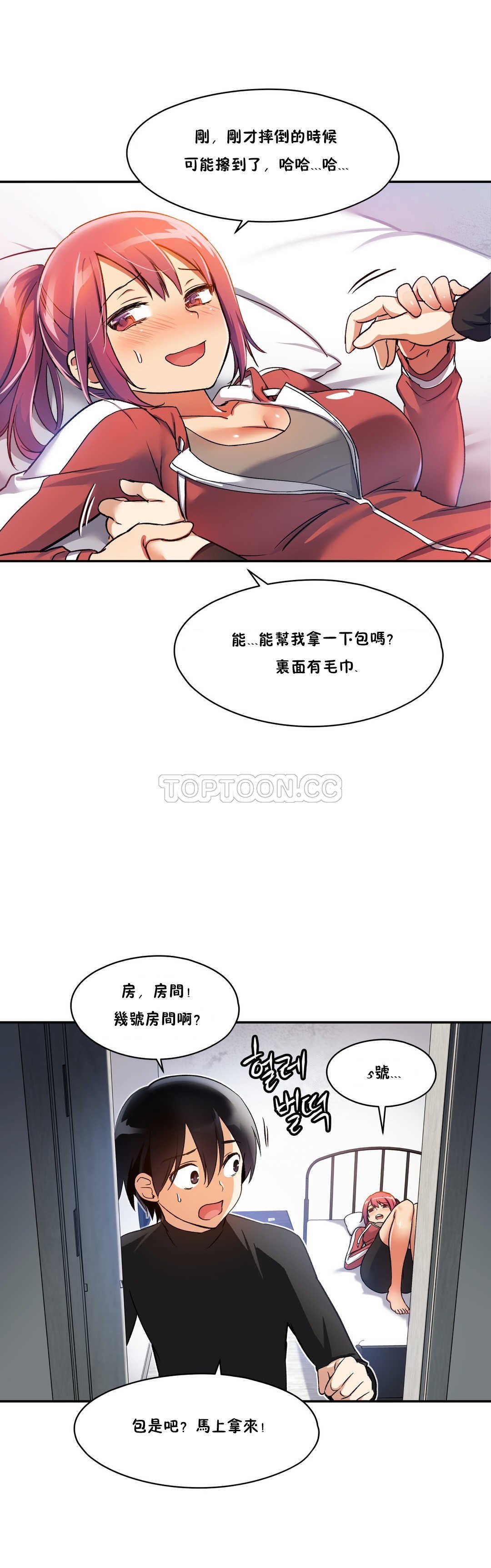 初恋豚鼠