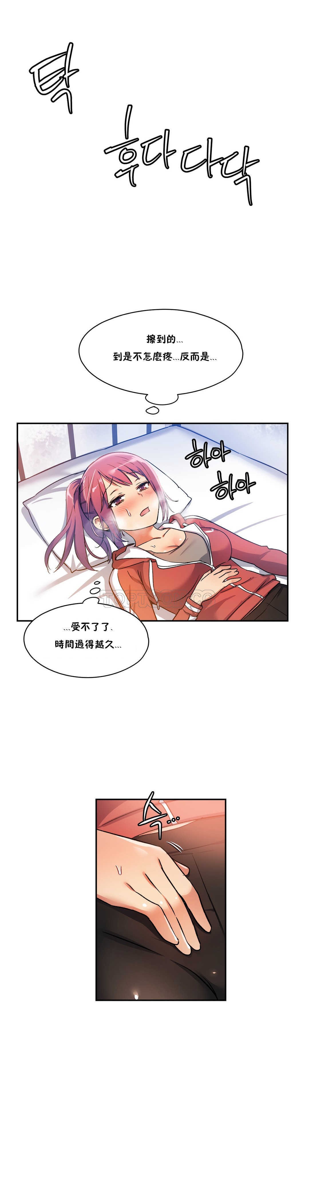 初恋豚鼠