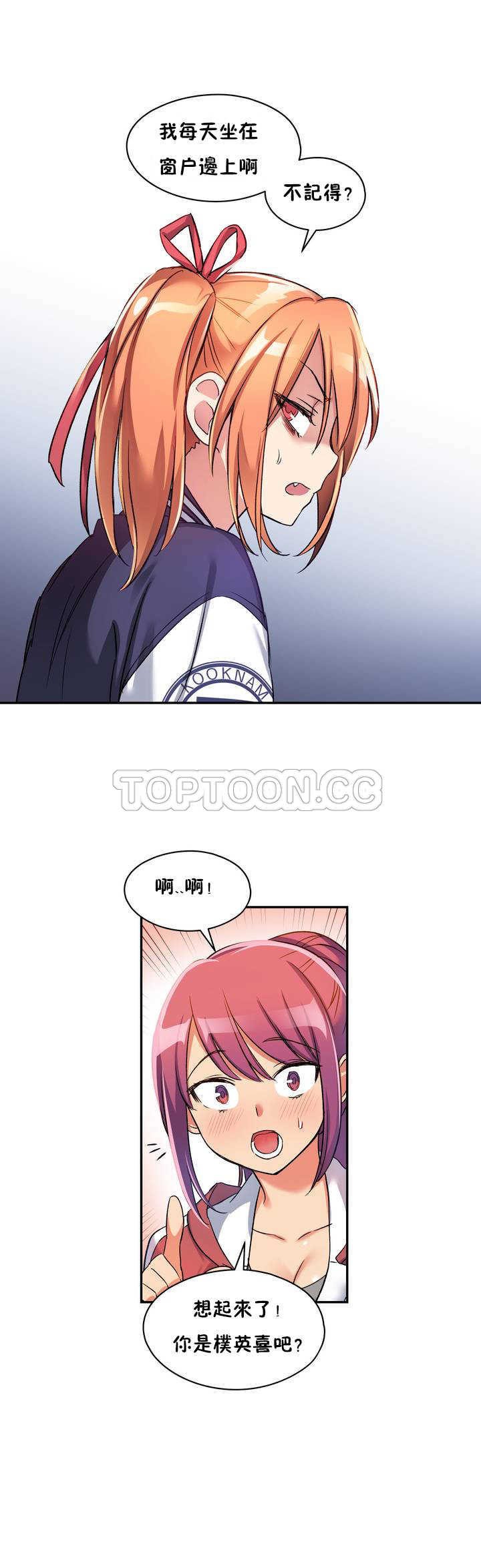 初恋豚鼠