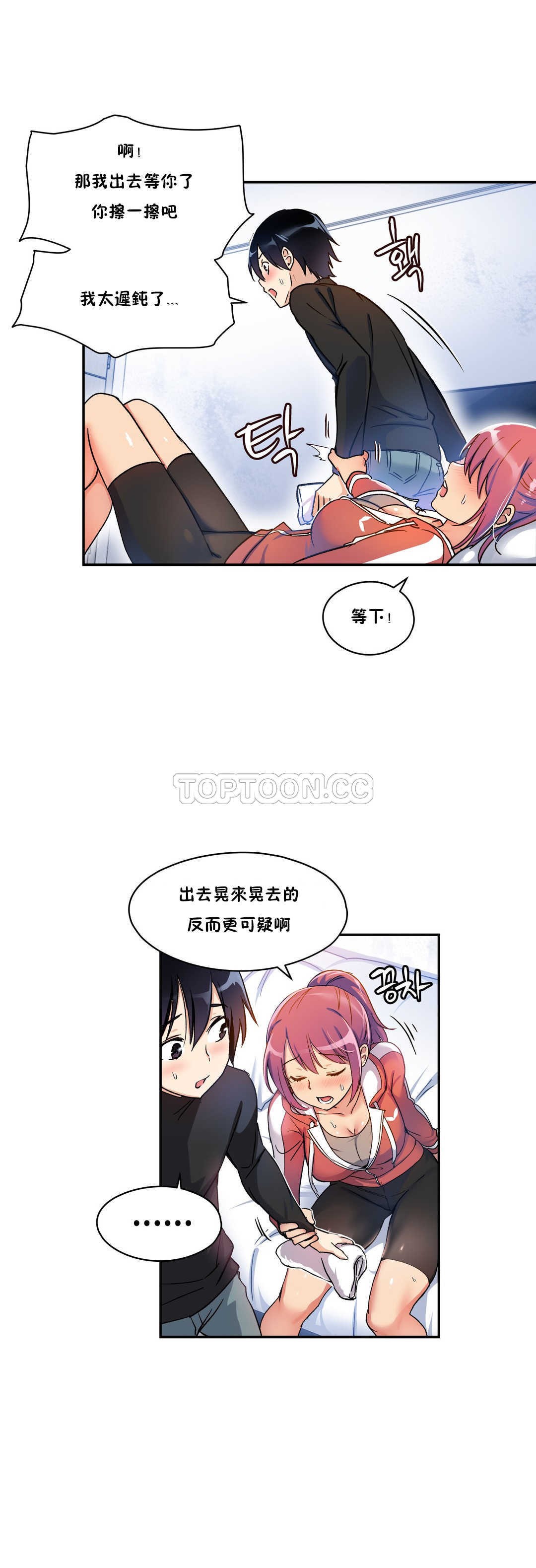 初恋豚鼠