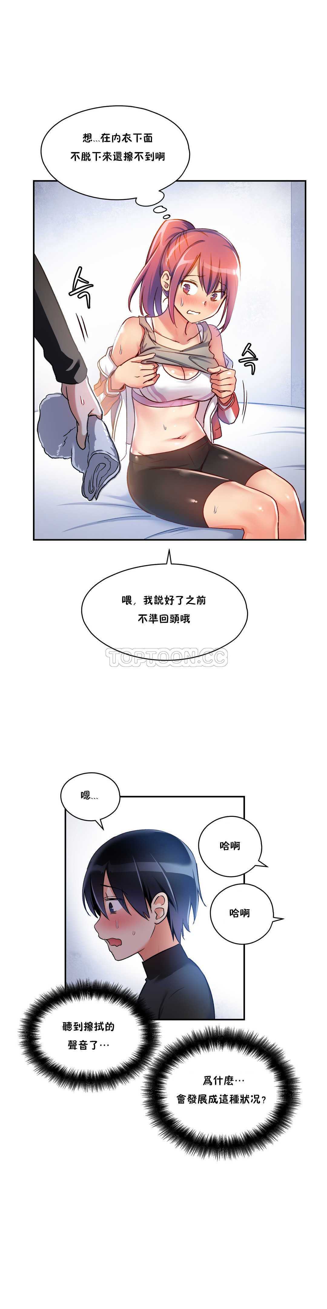 初恋豚鼠