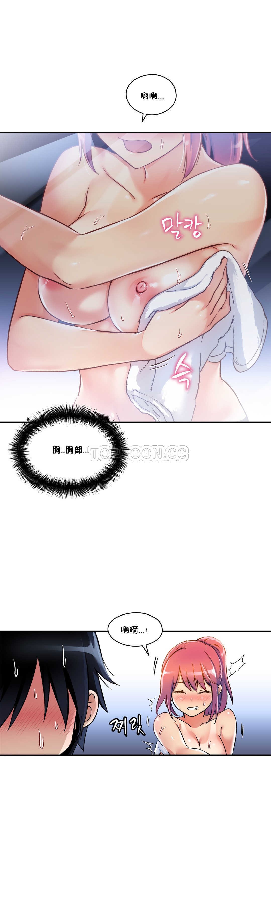 初恋豚鼠