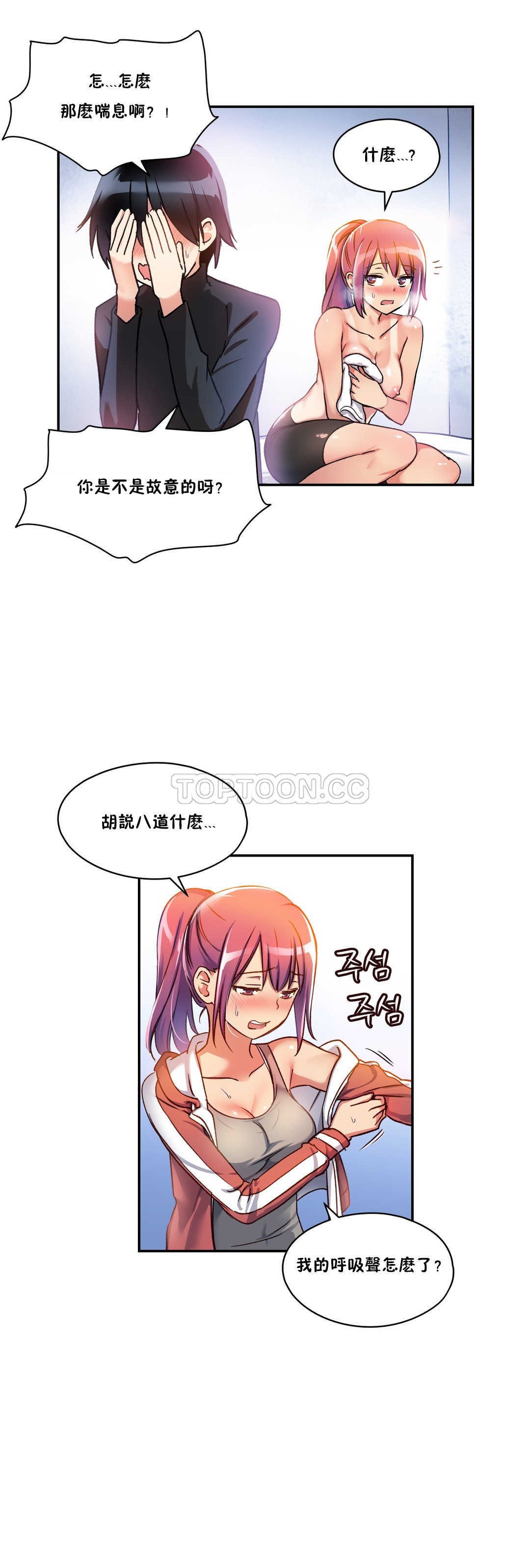 初恋豚鼠