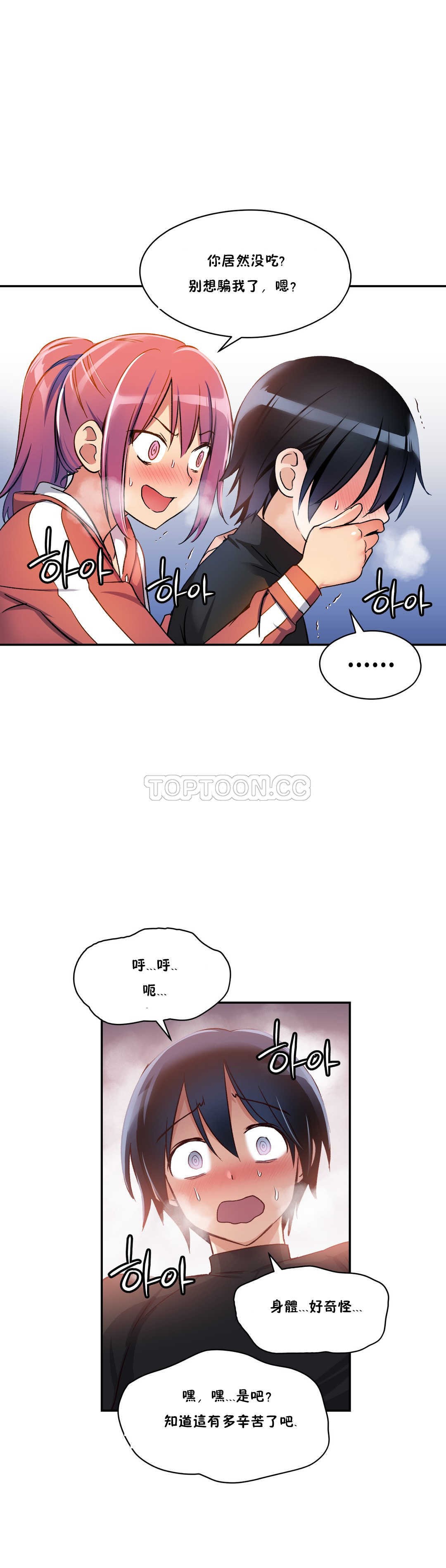 初恋豚鼠