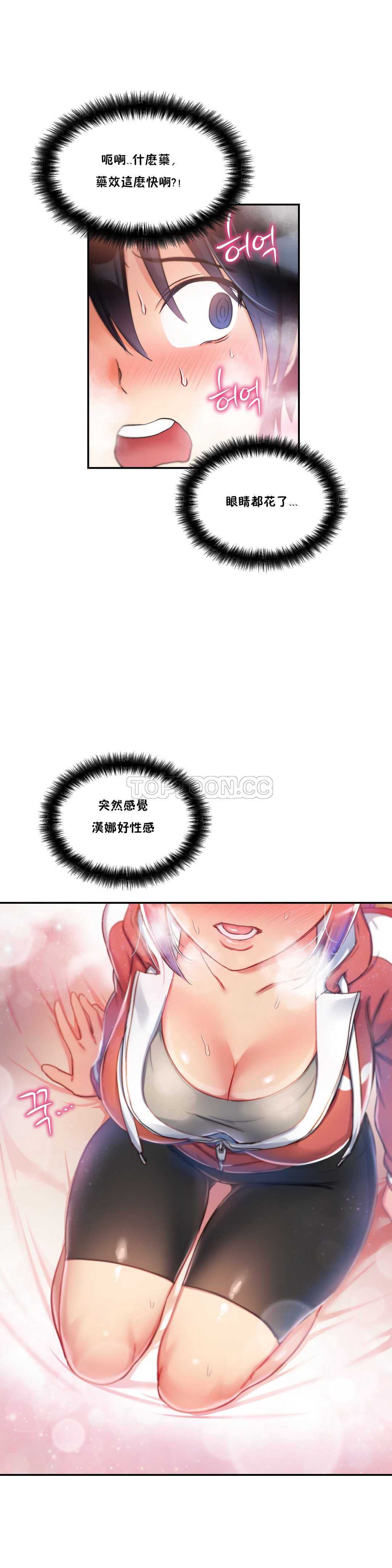 初恋豚鼠