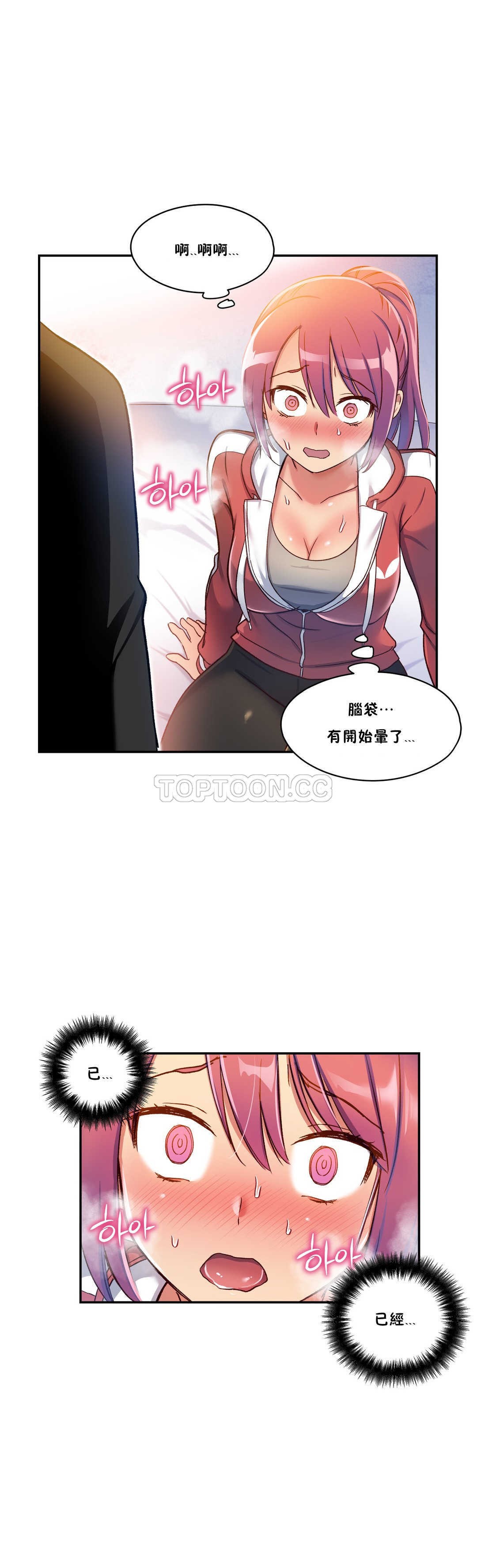 初恋豚鼠