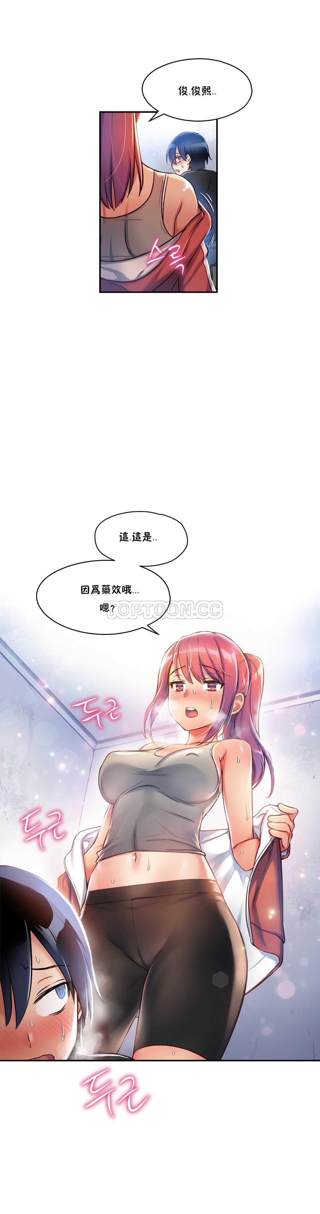 初恋豚鼠