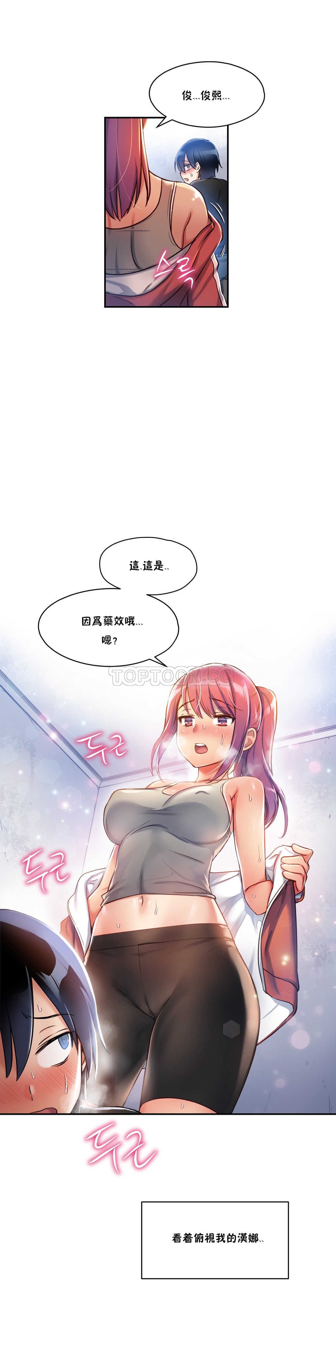 初恋豚鼠