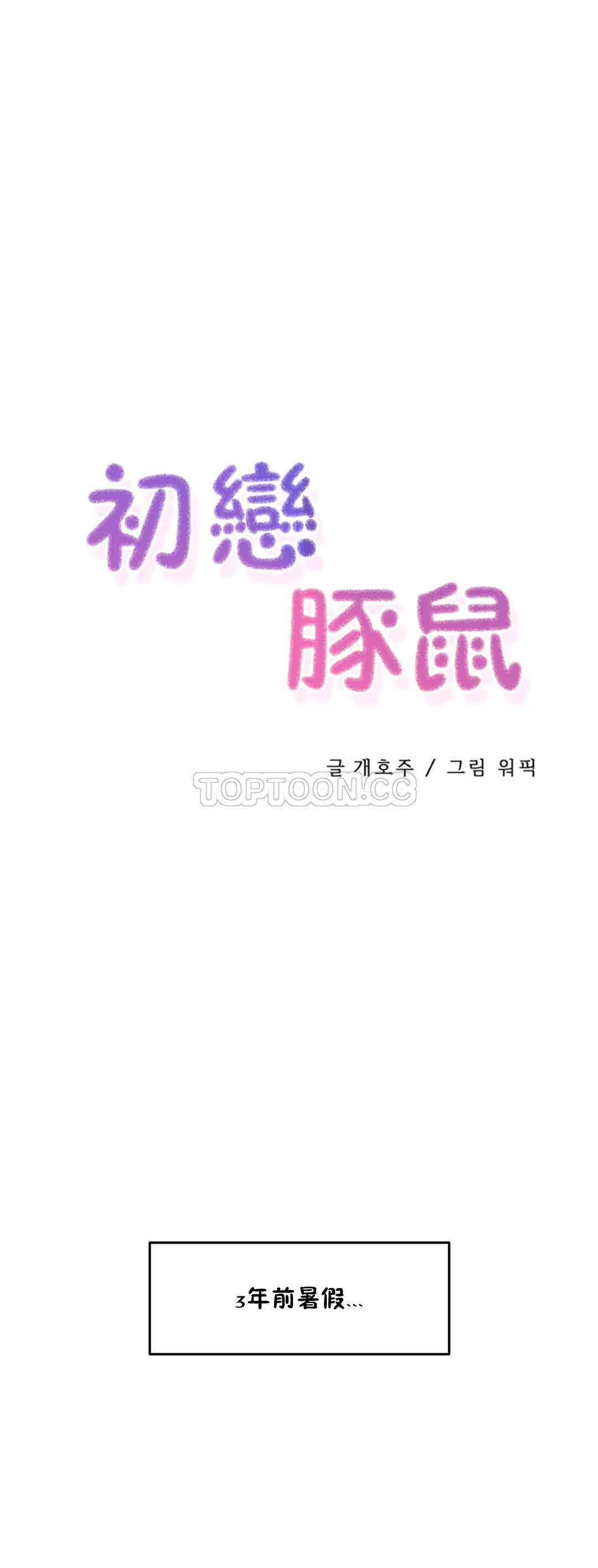 初恋豚鼠