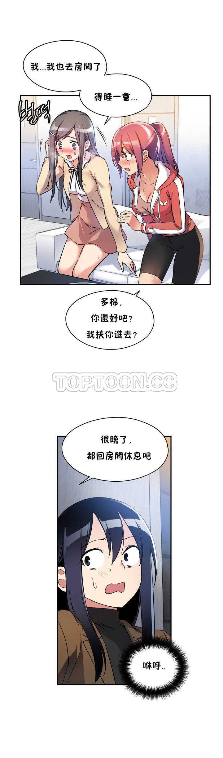 初恋豚鼠