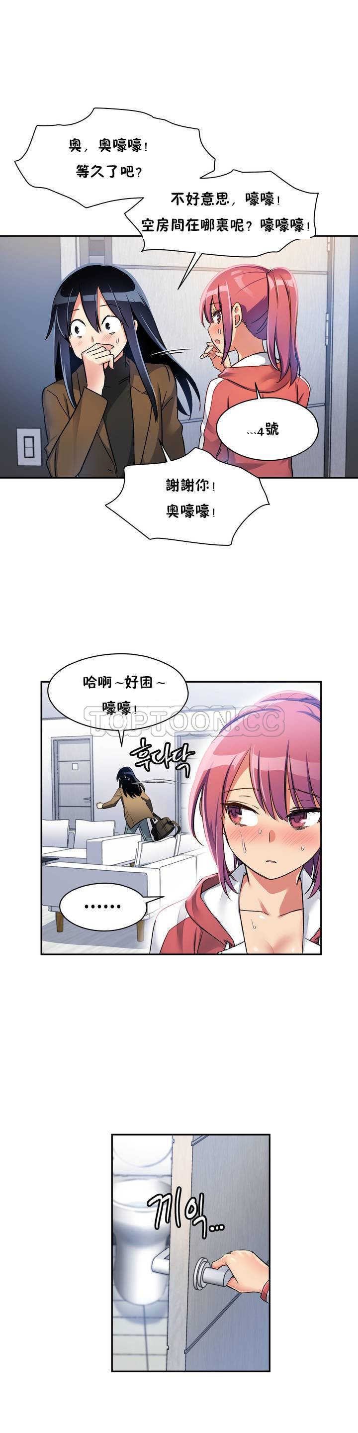 初恋豚鼠
