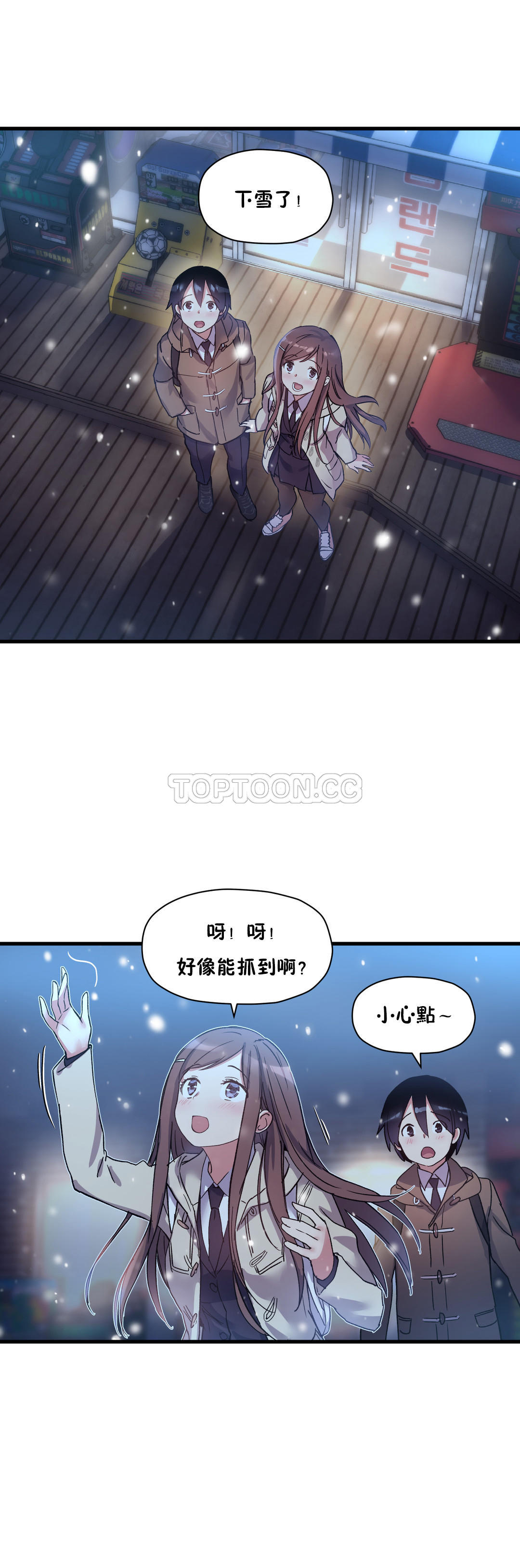 初恋豚鼠