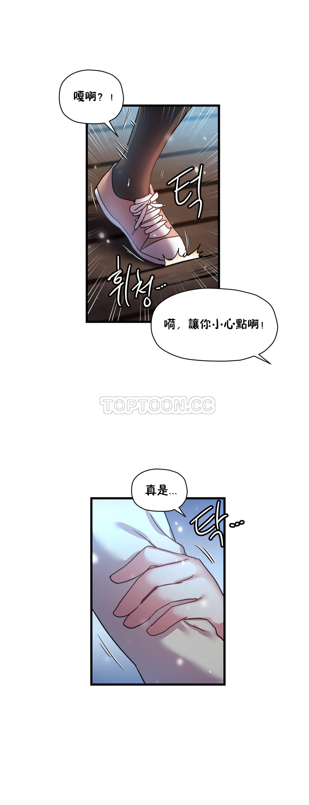 初恋豚鼠