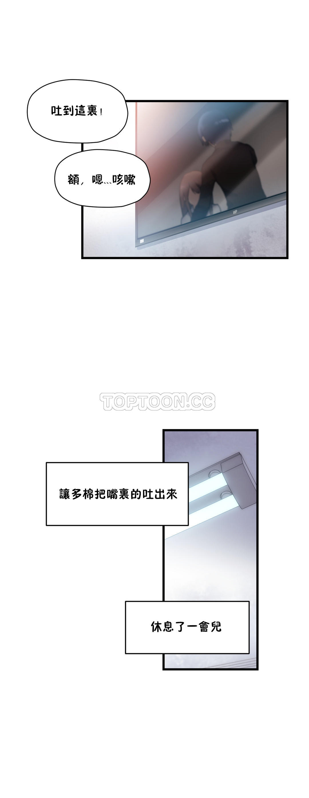 初恋豚鼠