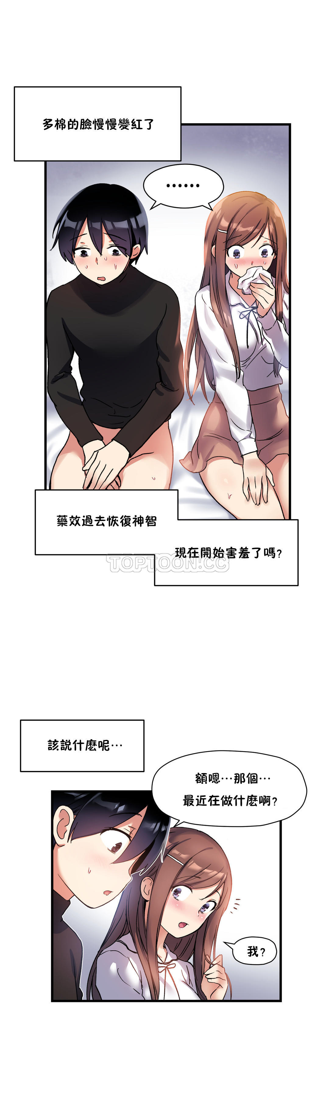 初恋豚鼠