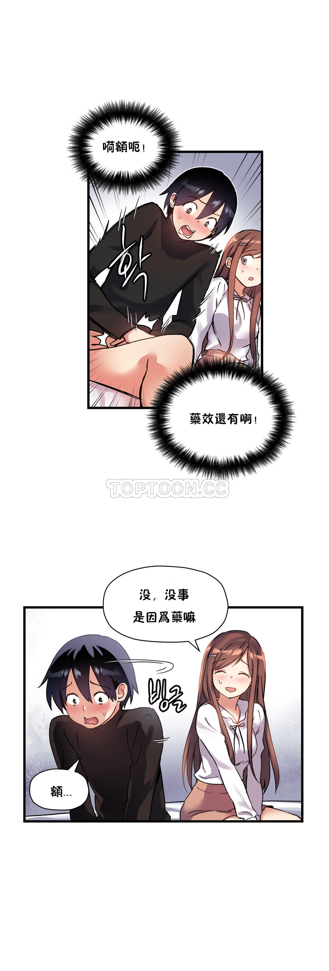 初恋豚鼠