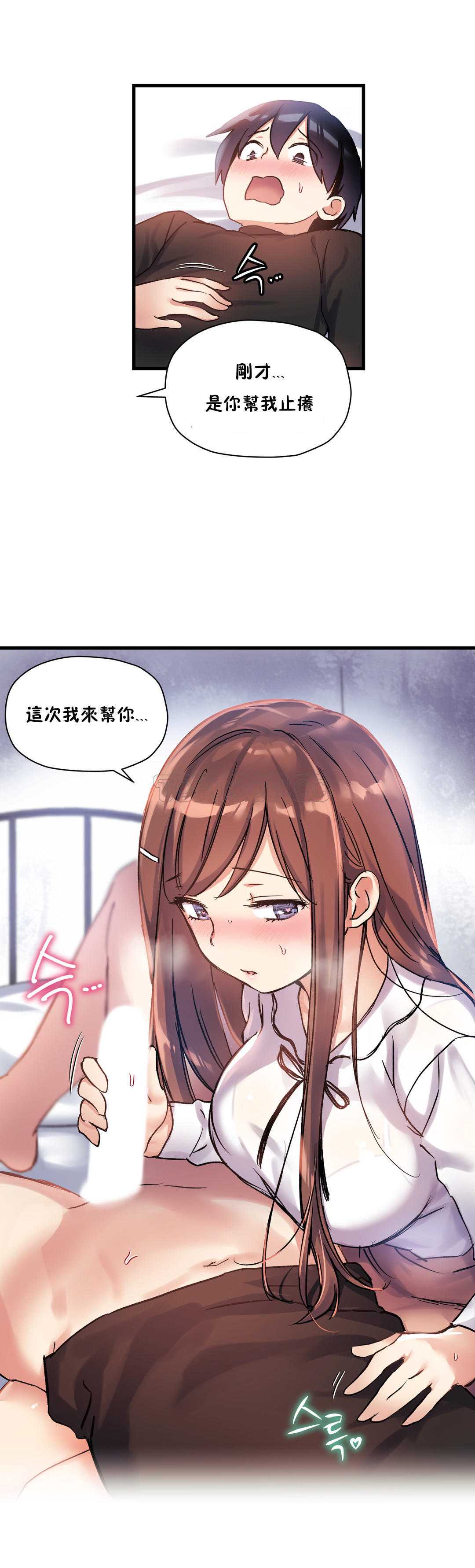初恋豚鼠