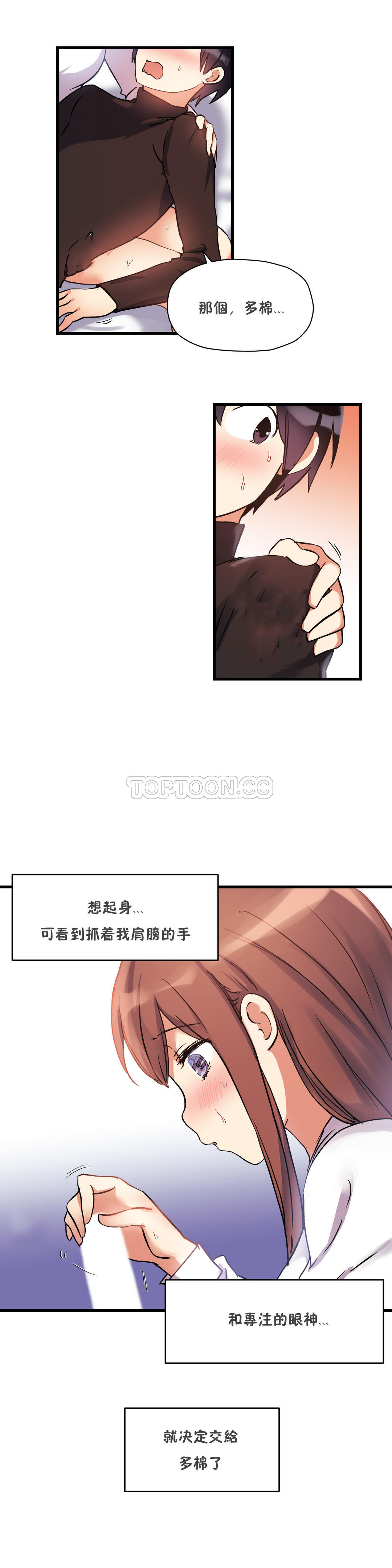 初恋豚鼠