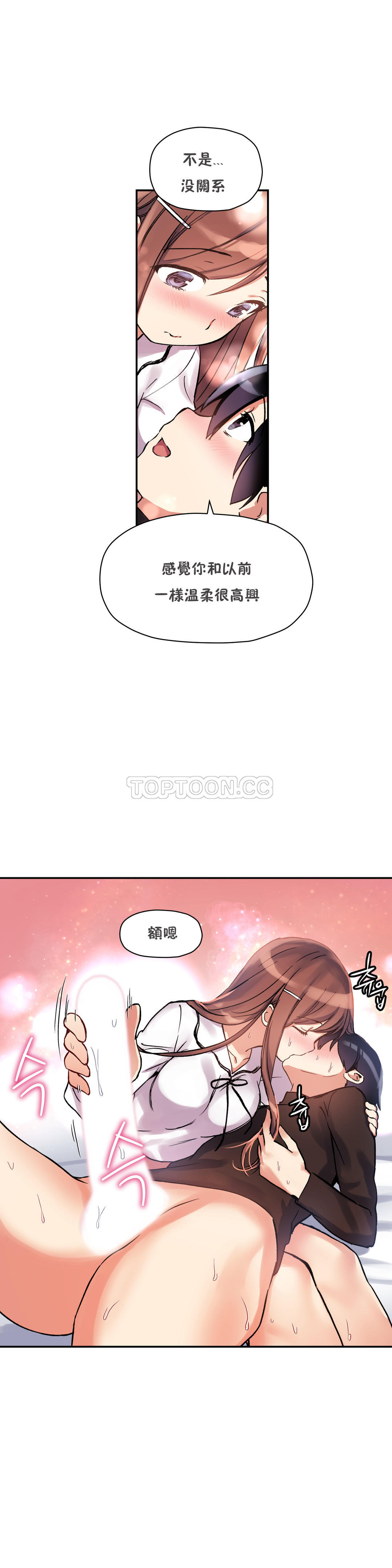 初恋豚鼠