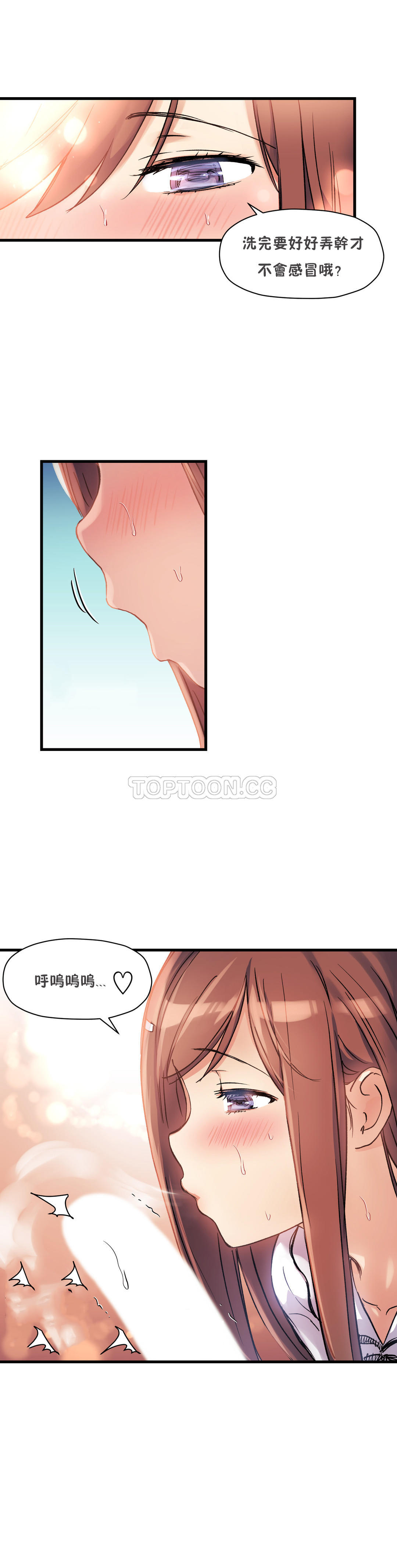 初恋豚鼠