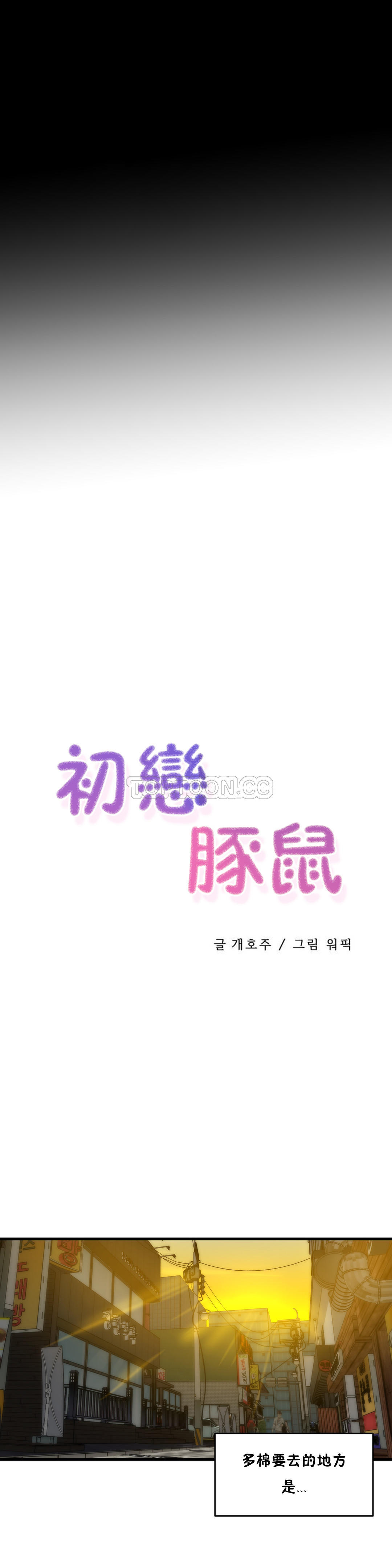 初恋豚鼠