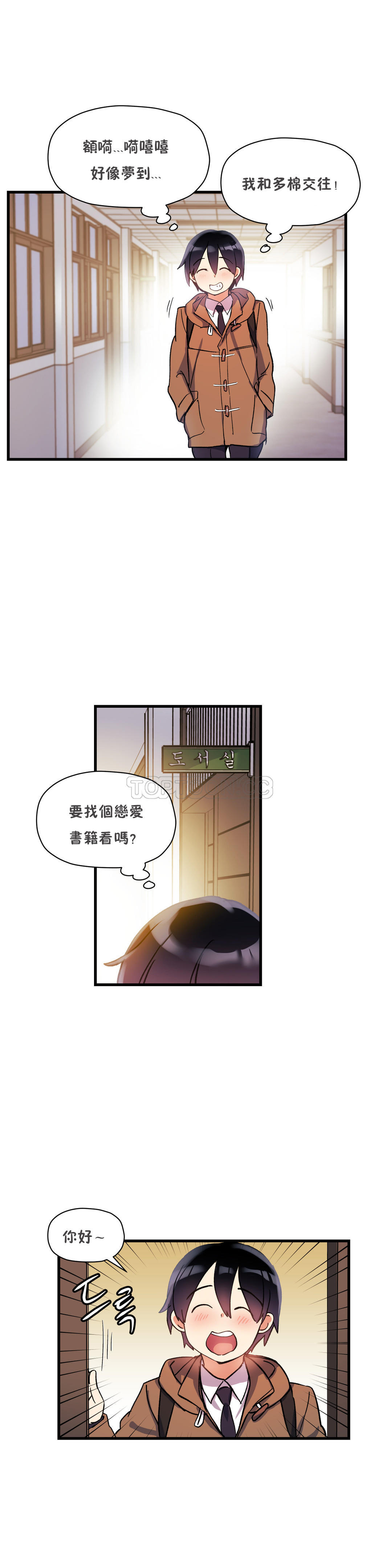 初恋豚鼠
